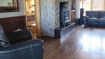 Smart TV, fireplace, video games, DVD player