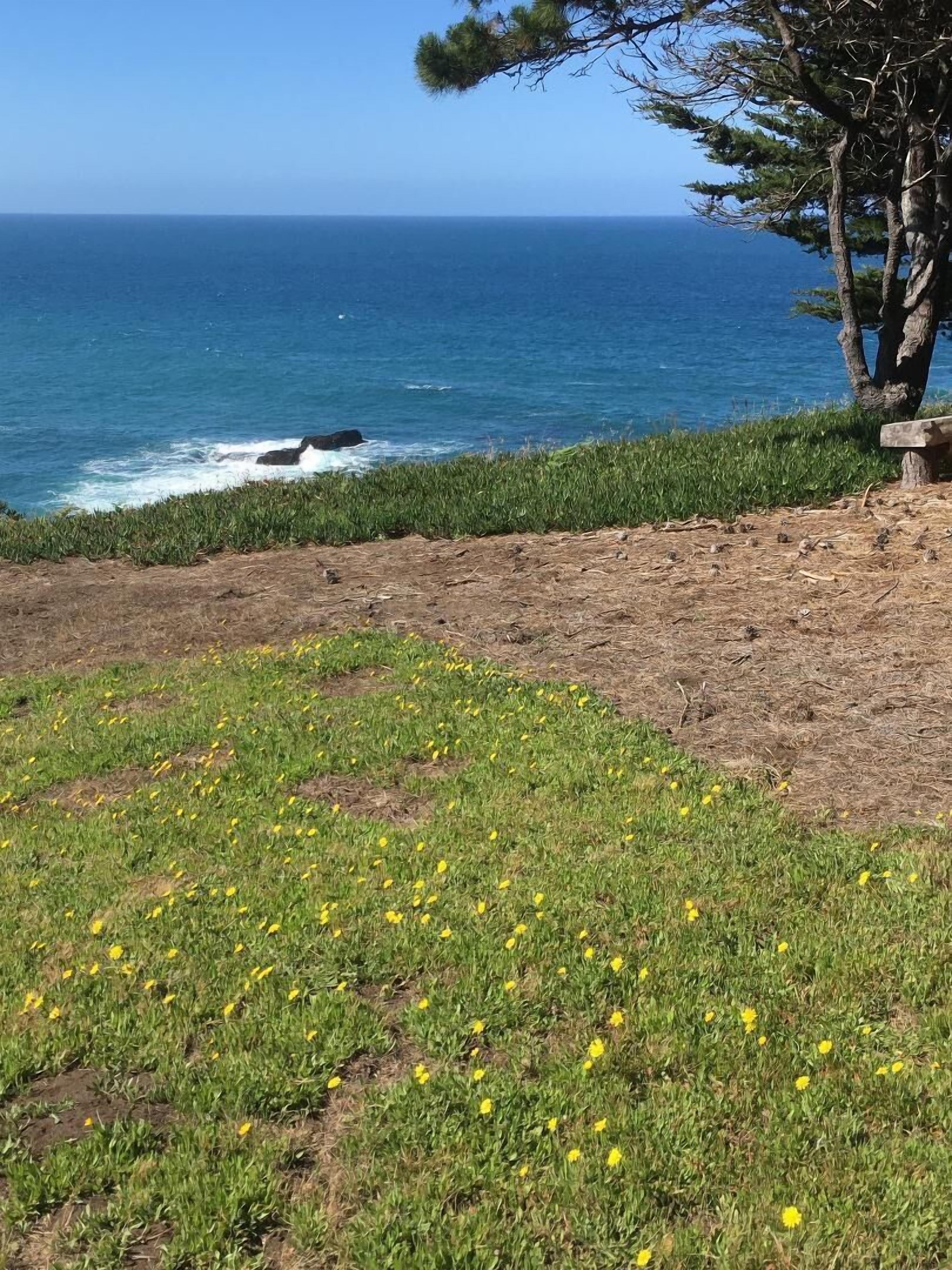 Ocean Hideaway meadow in Spring