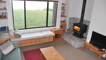 Flachbildfernseher, Kamin, DVD-Player, Bücher