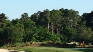 A golf course with a flagstick in the foreground and a forested area in the background.