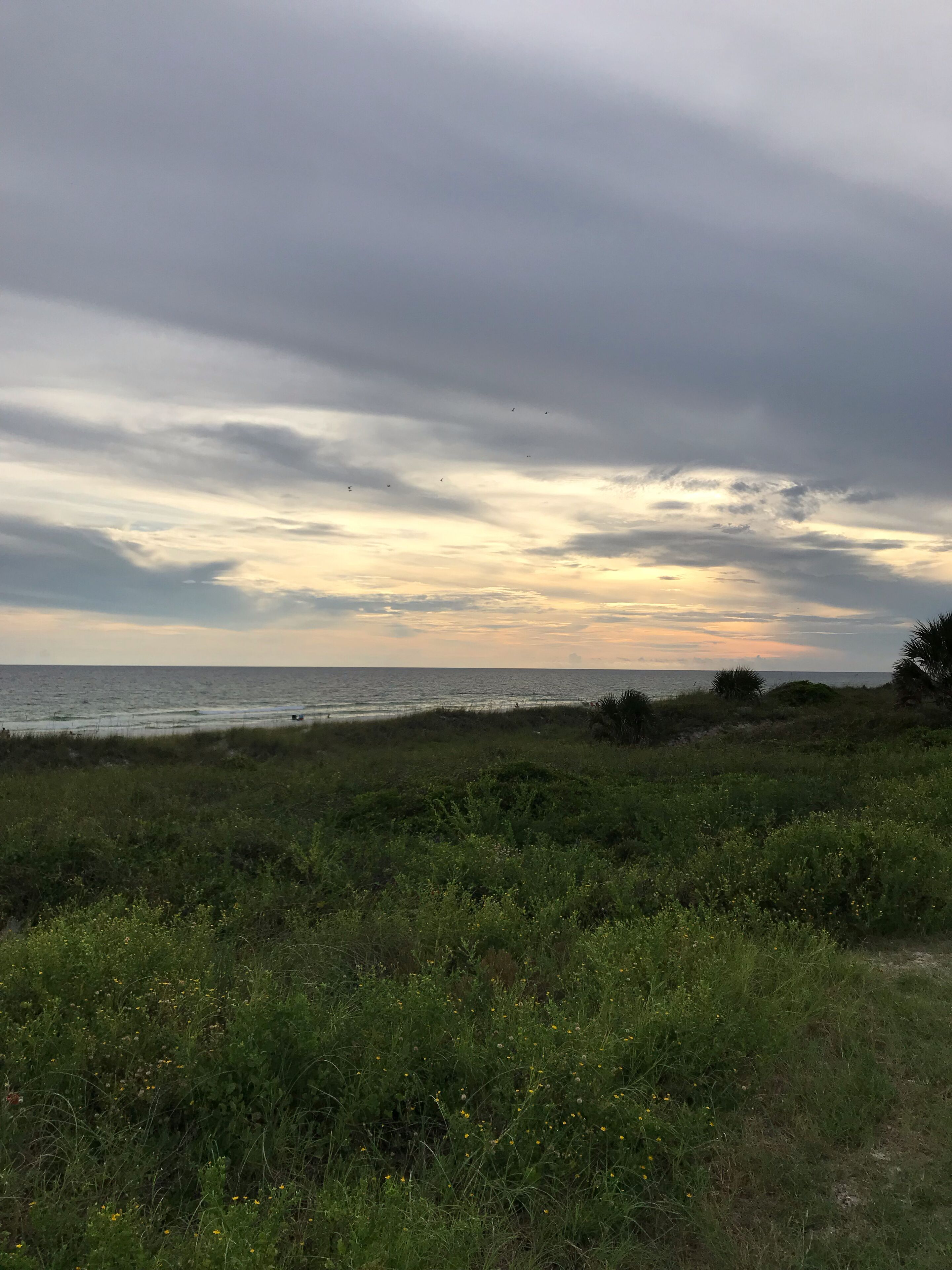 Ett kustlandskap med en gräsklädd förgrund och utsikt över havet under en molnig himmel.