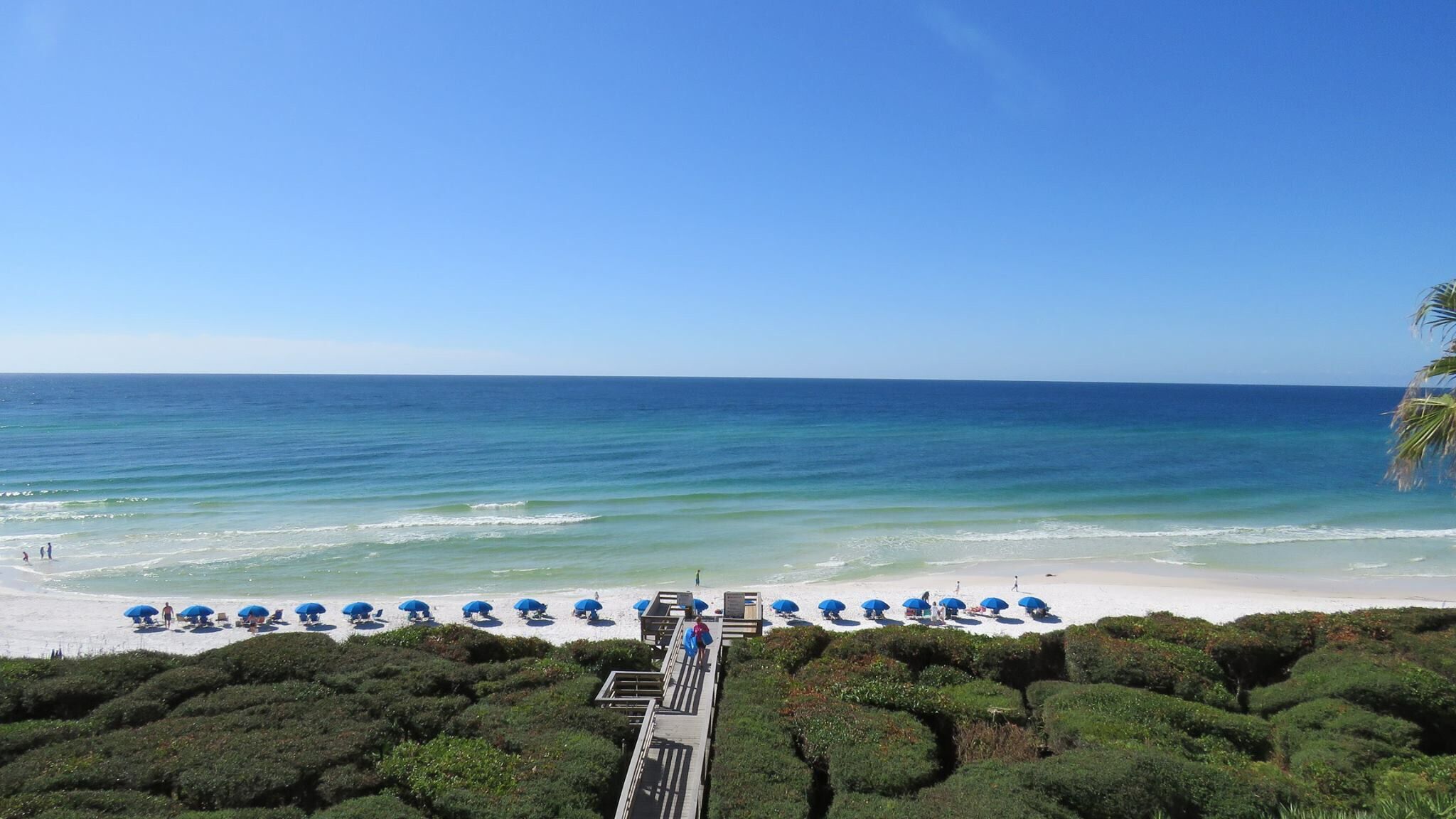 A beach with a wooden walkway leading to the shore, lined with blue umbrellas and lounge chairs.