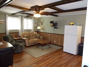 TV, DVD player, video library