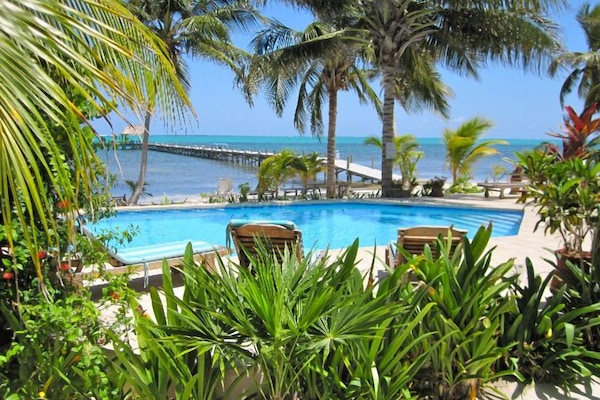 Lush gardens surround the property giving privacy and adding to the tropic feel.