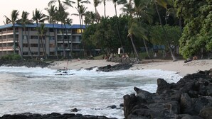 Une plage avec un rivage rocheux, des palmiers et un bâtiment doté de nombreux balcons.