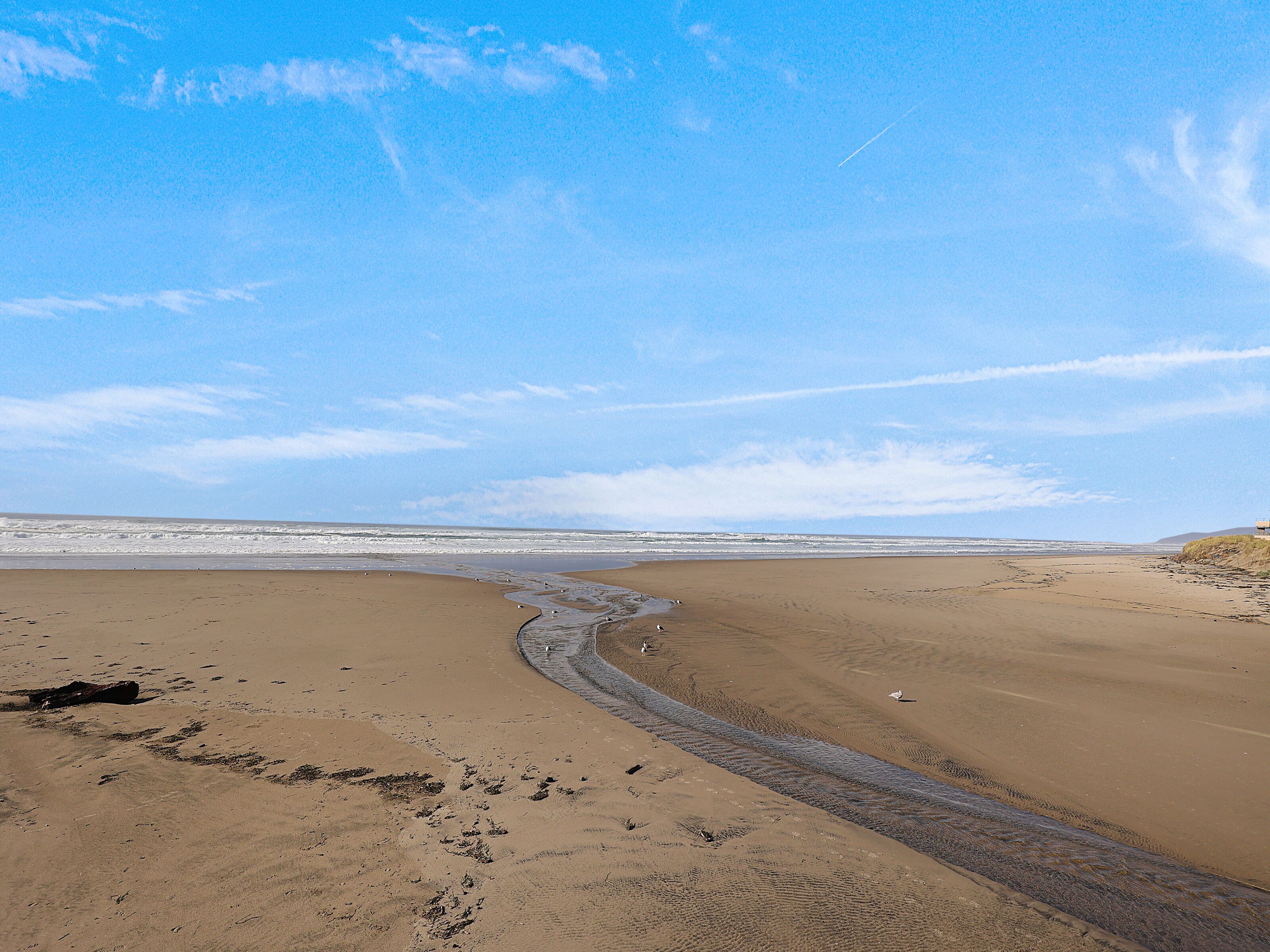 Playa en los alrededores y toallas de playa 