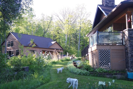 A house with a stone exterior, a wooden deck, and a lush garden with two dogs.