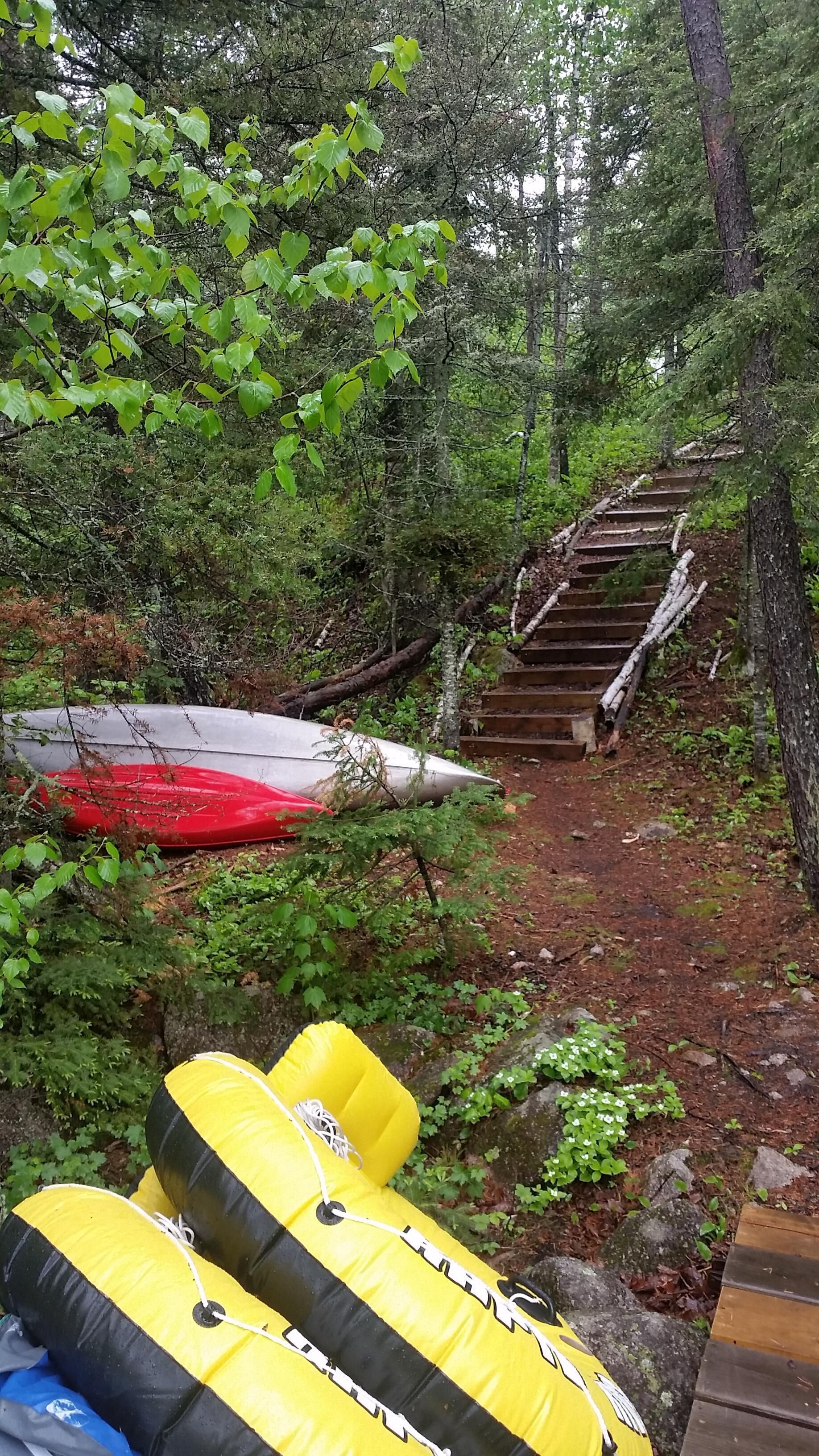 A forested area with a wooden staircase leading up.