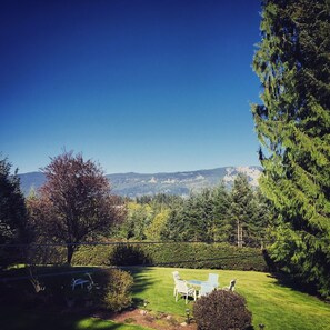 Outdoor dining - The Escape - Private Luxury House in the Trees - Swim Spa. Pet Friendly! (Cobble Hill)