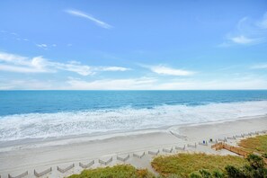 在海滩、沙滩椅