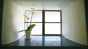 A room with a large window, a potted plant, and a tiled floor.