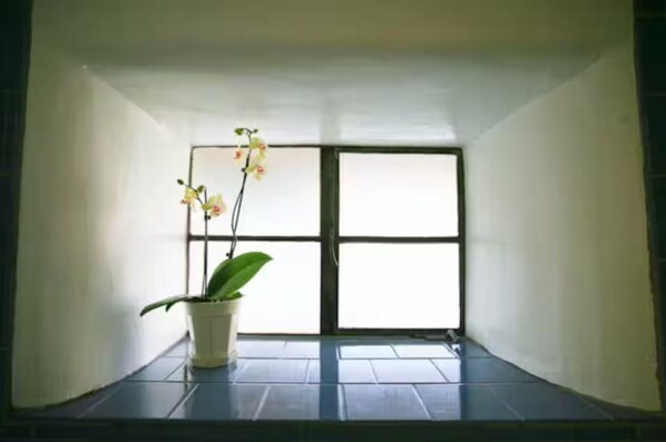 A room with a large window, a potted plant, and a tiled floor.