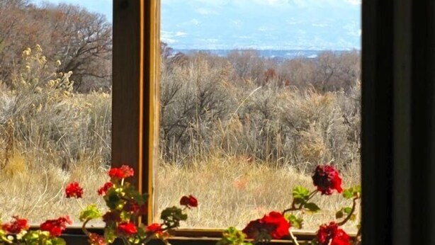 Una ventana con vista a un paisaje montañoso y flores rojas en primer plano.
