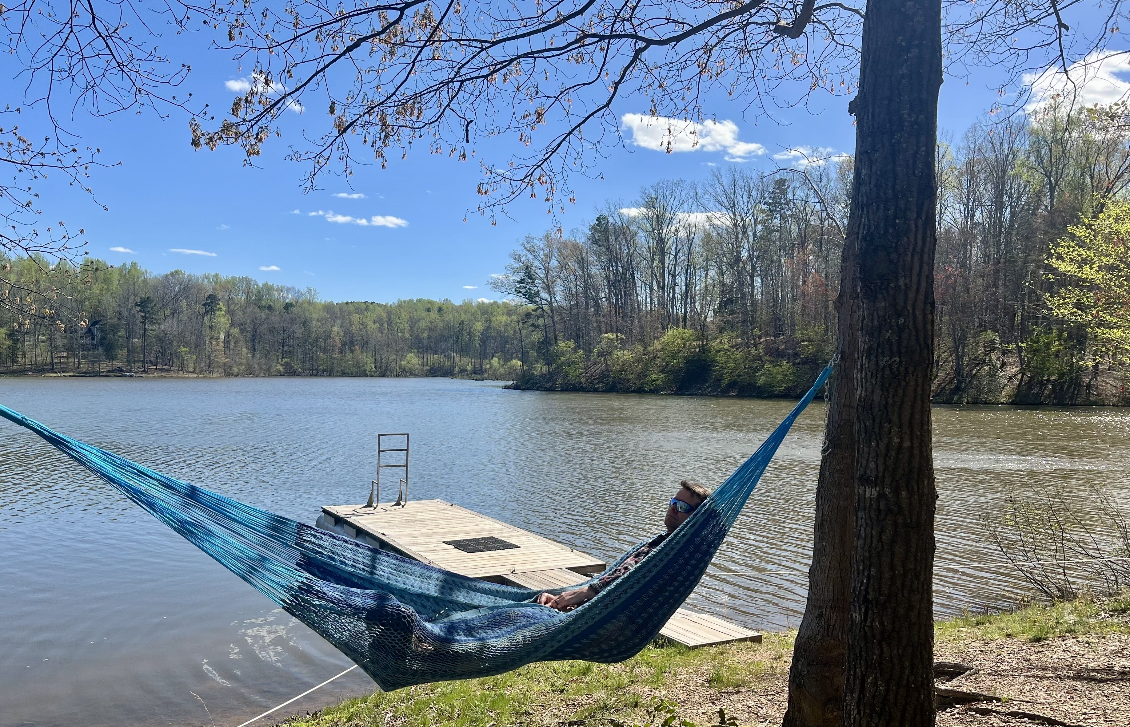 A hammock tied between trees by a lake with a wooden dock and a ladder.
