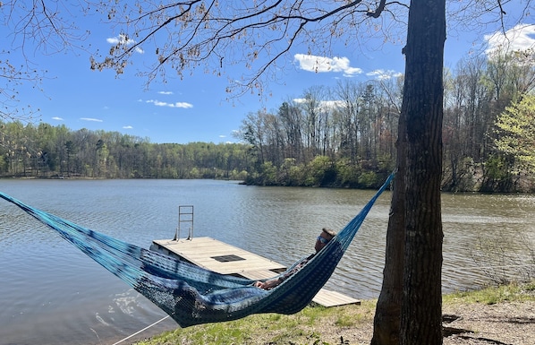 A hammock tied between trees by a lake with a wooden dock and a ladder. - Heron Landing: Escape to Lake Mayo.
Private cove, where nature abounds!
(Roxboro)