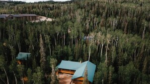 Una cabaña con techo verde ubicada en medio de un bosque denso, rodeada de árboles altos.