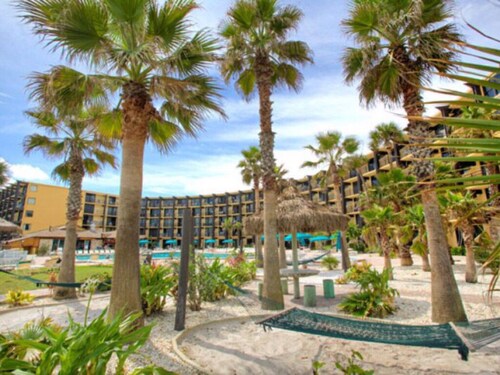 Family-friendly Amazing Ocean Front True One Bedroom Sleeps 6 SPRING MEGA SALE!