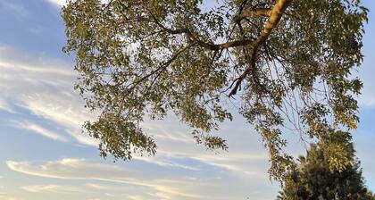 Deluxe "Riverside" loma-asunto yksityisellä huvivenesatamalla Kalifornian deltalla