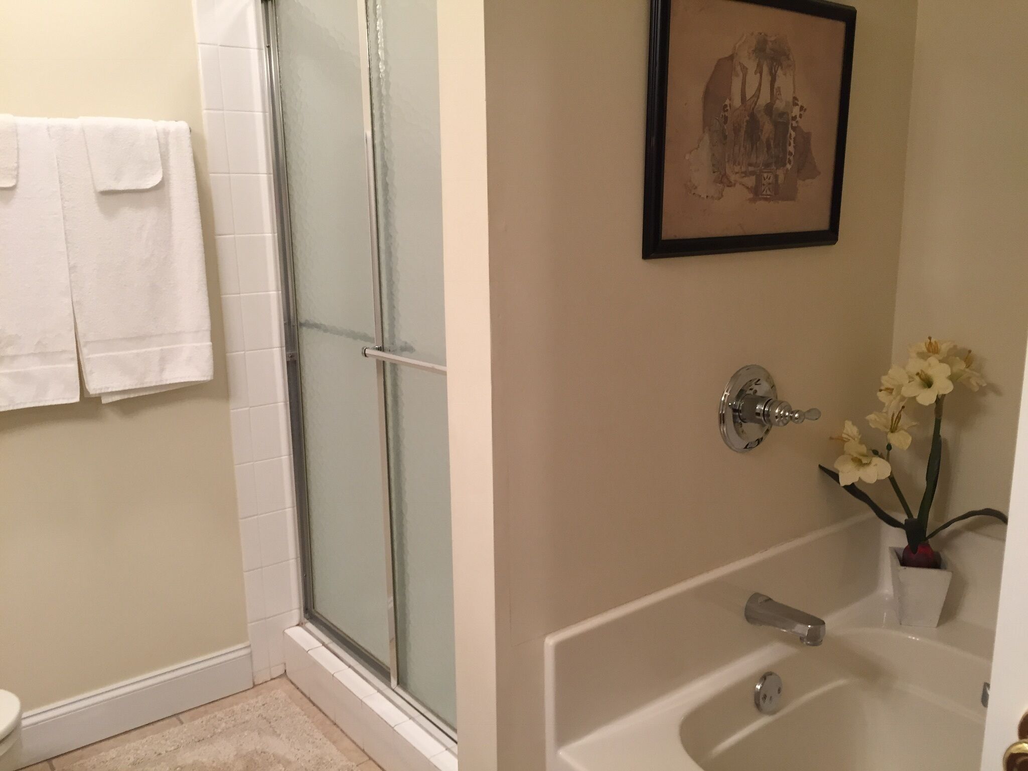 Mountain Experience with town convenience!