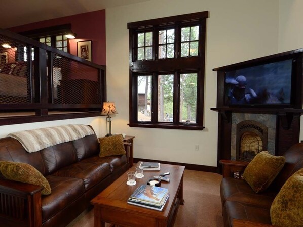 TV, fireplace, DVD player, books