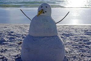 Beach nearby, sun-loungers, beach towels - 2 Bedroom Pet-Friendly Stay, Pool & Beach Access (St Pete Beach)