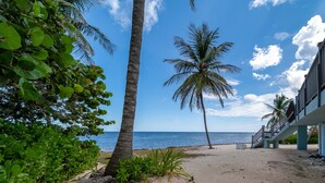 Una playa con palmeras, cielo despejado y un edificio con balcón con vista al océano.