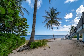 Plage, chaises longues, serviettes de plage