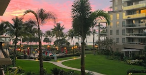 A resort with a pool area, palm trees, and a building with balconies.