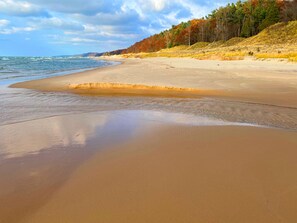 Una playa con una orilla arenosa y una ladera cubierta de bosque.