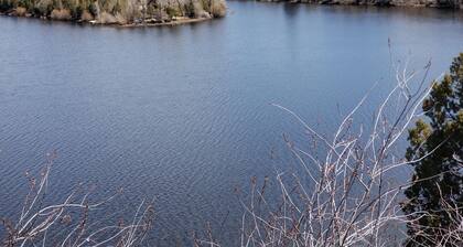 Secluded Lakefront Log Cabin, Wildlife and Fishing Paradise, Pet Friendly