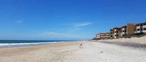 在海滩