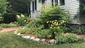 A house with a front porch, surrounded by a garden with yellow flowers and various shrubs. - "Moss Mountain Cottage" Clean, Private, Central MDI - 2025 updated kitchen (Bar Harbor)