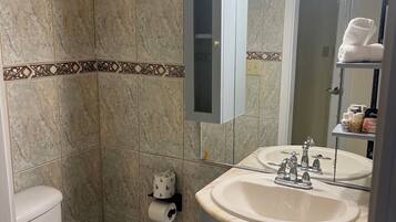 Regadera, secadora de cabello, toallas