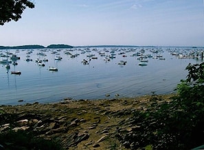 A marina with numerous boats docked in calm waters. - Ocean View Cottage Falmouth Foreside (Falmouth)