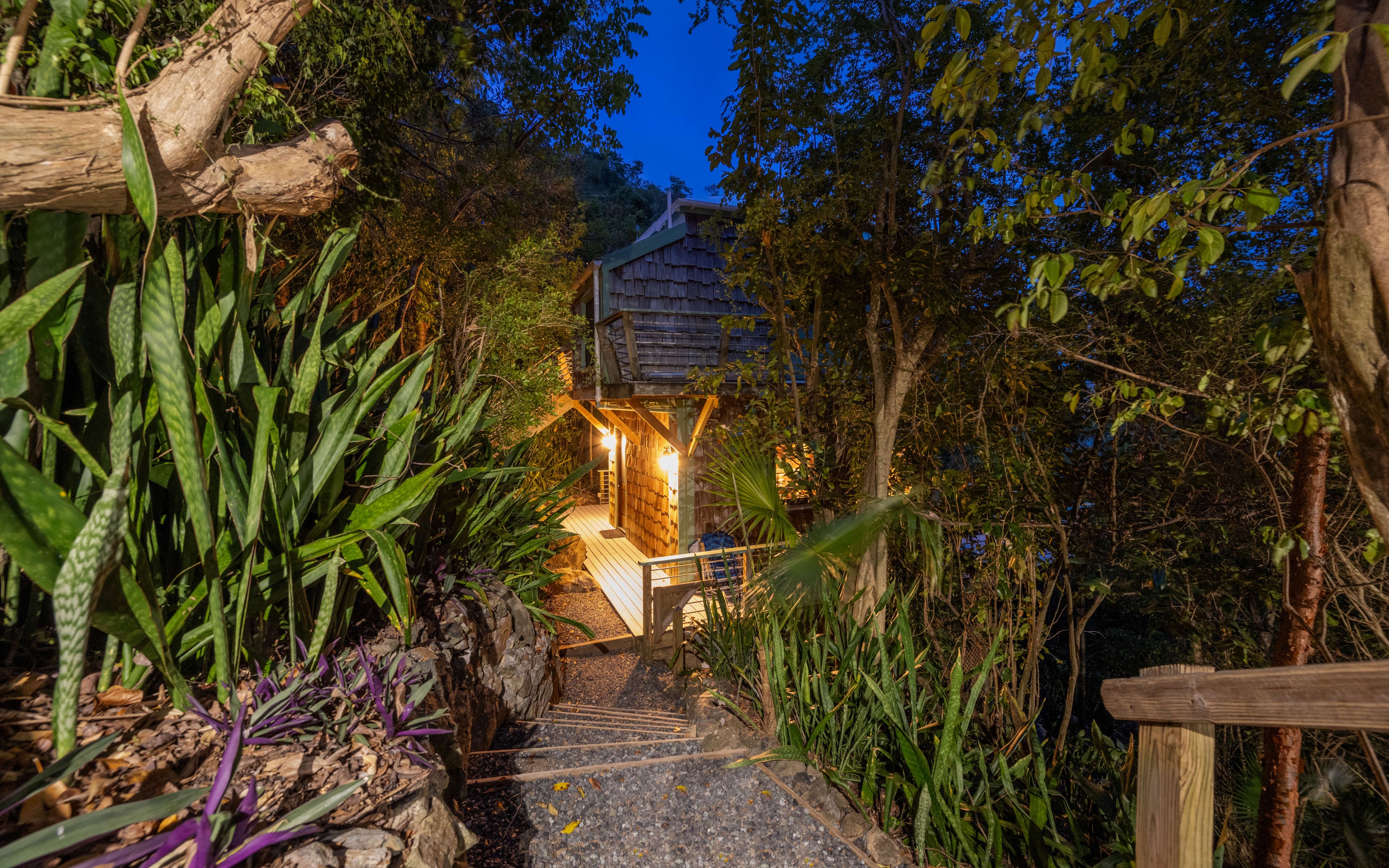 A wooden staircase leading to a building surrounded by dense foliage.