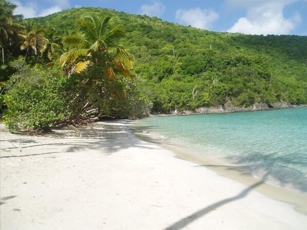 كراسي للتشمس، مناشف للشاطئ