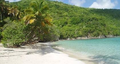 New Moon - Beautifully Built Cottage with Views of Coral Bay