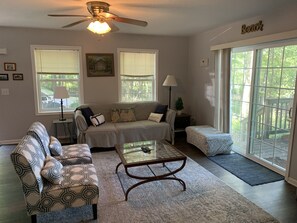 Smart TV, DVD player, books, video library