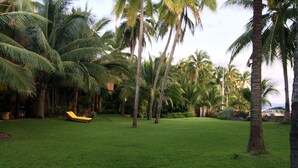 Un césped verde y exuberante con palmeras y una silla de descanso amarilla.