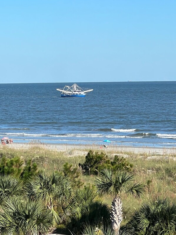 On the beach, sun loungers