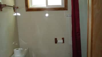 Shower, towels, toilet paper