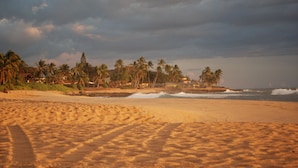 A sandy beach with footprints, palm trees, and a house in the background. - Affordable Luxury, Gorgeous One Bedroom Condo, Amazing Views and Great WiFi (Waianae)