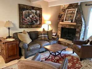 Smart TV, fireplace, DVD player, books