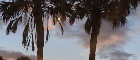 شاطئ