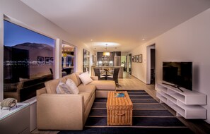 Smart TV, fireplace, books
