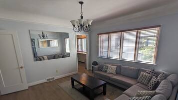 TV, fireplace, DVD player, books