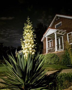 تفاصيل الفندق من الخارج