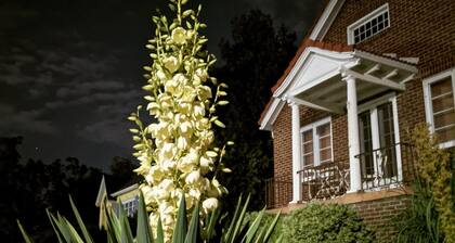 Charming home near the U of U