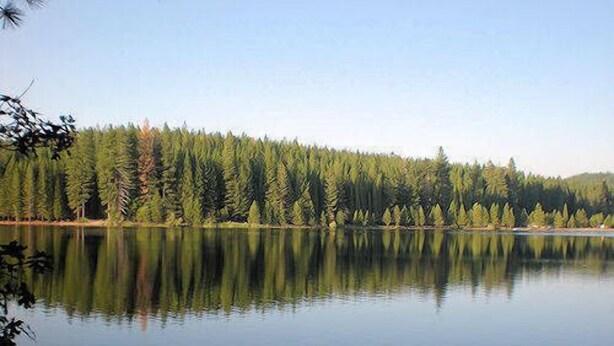 A calm lake with dense forest on one side and a clear sky above. - Foresthill Getaway is located in town and close to many wedding sites. (Foresthill)