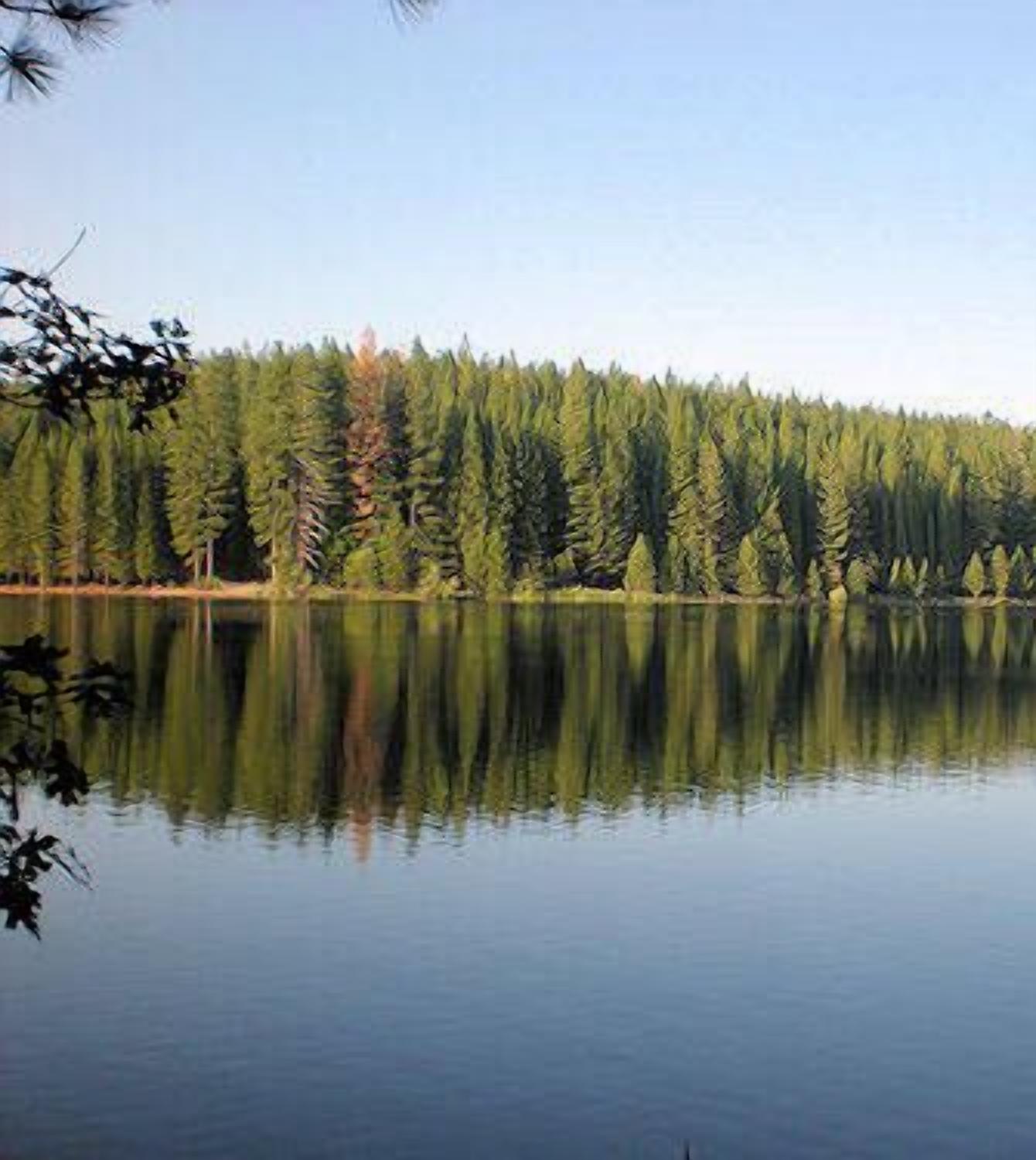 Tyyni järvi, jonka toisella puolella on tiheä metsä ja jonka yläpuolella on kirkas taivas.